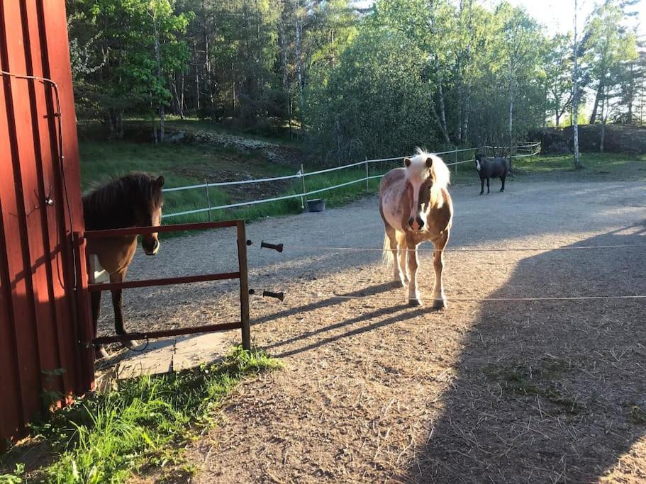 Cozy Lodge At Horse Farm With Lake And Sauna Holo  外观 照片